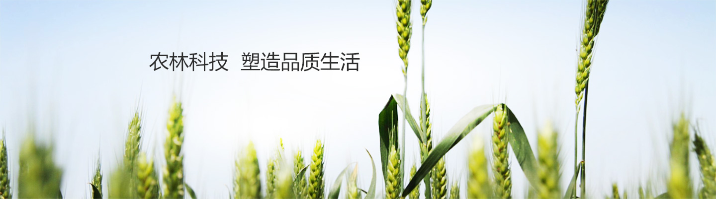 test5