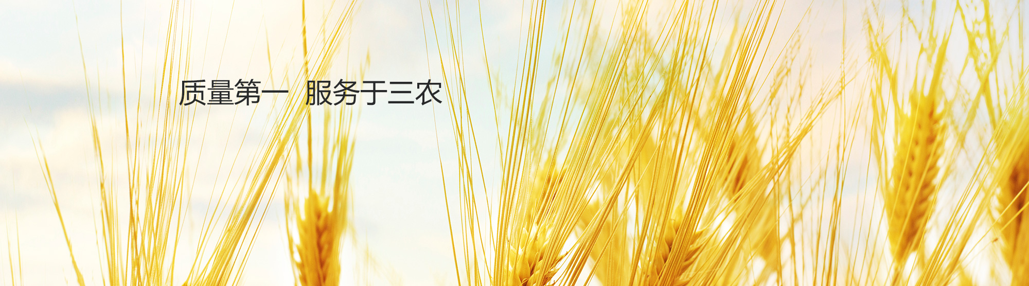 test3